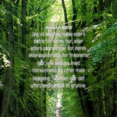 Picture 04 - Hosea 4:14 NORSK - Jeg vil ikke hjemsøke eders døtre for deres - Bible Verse Picture