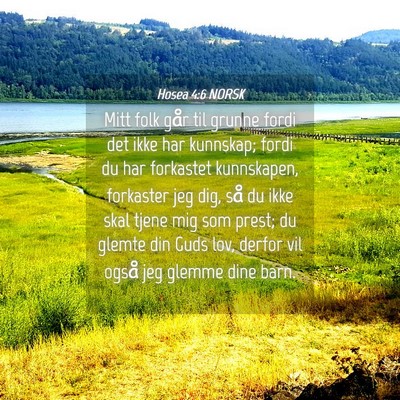 Picture 04 - Hosea 4:6 NORSK - Mitt folk går til grunne fordi det ikke har - Bible Verse Picture