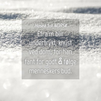 Picture 04 - Hosea 5:11 NORSK - Efra'm blir undertrykt, knust ved dom; for han - Bible Verse Picture