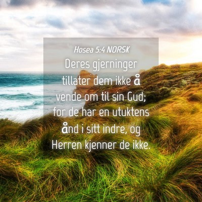 Picture 04 - Hosea 5:4 NORSK - Deres gjerninger tillater dem ikke å vende om - Bible Verse Picture