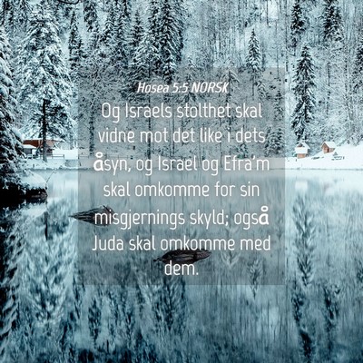 Picture 04 - Hosea 5:5 NORSK - Og Israels stolthet skal vidne mot det like i - Bible Verse Picture