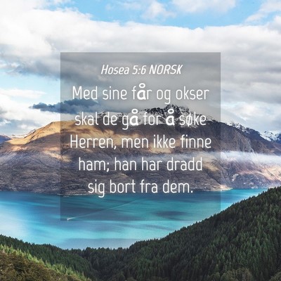 Picture 04 - Hosea 5:6 NORSK - Med sine får og okser skal de gå for å søke - Bible Verse Picture
