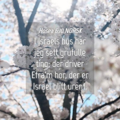 Picture 04 - Hosea 6:10 NORSK - I Israels hus har jeg sett grufulle ting; der - Bible Verse Picture