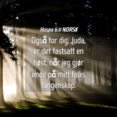 Picture 04 - Hosea 6:11 NORSK - Også for dig, Juda, er det fastsatt en høst, - Bible Verse Picture