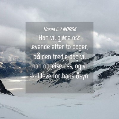 Picture 04 - Hosea 6:2 NORSK - Han vil gjøre oss levende efter to dager; på - Bible Verse Picture