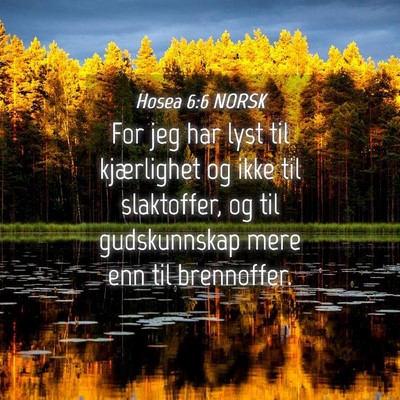 Picture 04 - Hosea 6:6 NORSK - For jeg har lyst til kjærlighet og ikke til - Bible Verse Picture