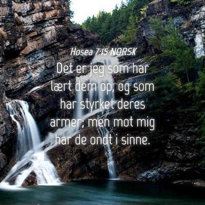 Picture 04 - Hosea 7:15 NORSK - Det er jeg som har lært dem op, og som har - Bible Verse Picture
