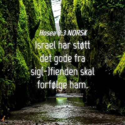 Picture 04 - Hosea 8:3 NORSK - Israel har støtt det gode fra sig(-)fienden skal - Bible Verse Picture