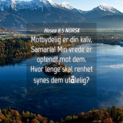 Picture 04 - Hosea 8:5 NORSK - Motbydelig er din kalv, Samaria! Min vrede er - Bible Verse Picture