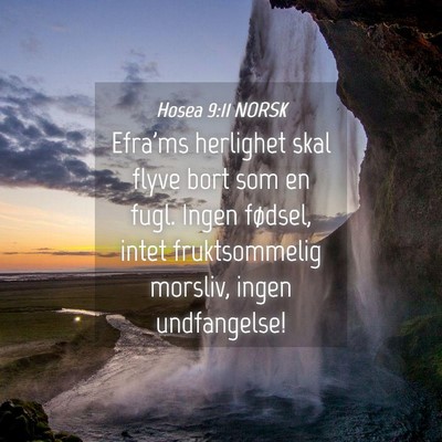 Picture 04 - Hosea 9:11 NORSK - Efra'ms herlighet skal flyve bort som en fugl. - Bible Verse Picture