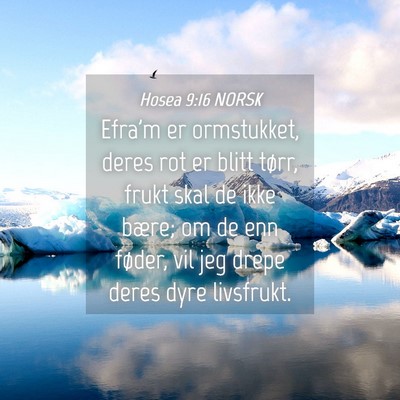 Picture 04 - Hosea 9:16 NORSK - Efra'm er ormstukket, deres rot er blitt tørr, - Bible Verse Picture