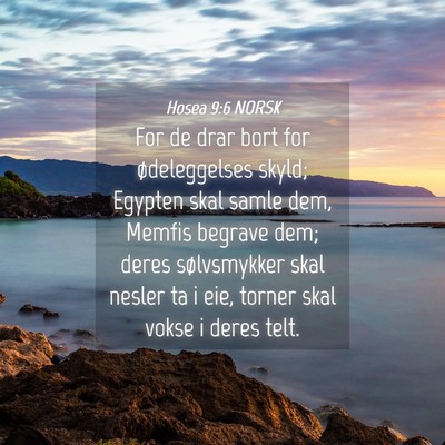 Picture 04 - Hosea 9:6 NORSK - For de drar bort for ødeleggelses skyld; Egypten - Bible Verse Picture