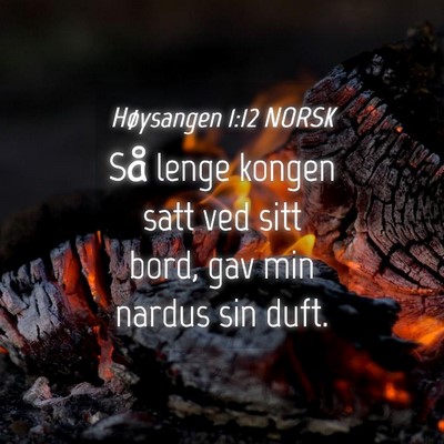 Picture 04 - Høysangen 1:12 NORSK - Så lenge kongen satt ved sitt bord, gav min - Bible Verse Picture