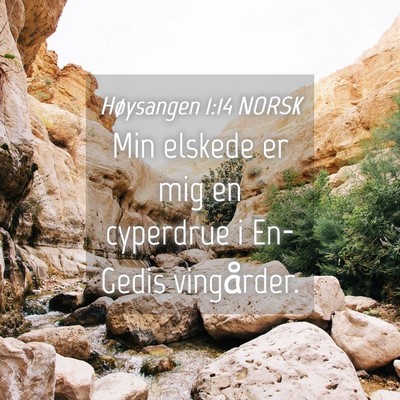 Picture 04 - Høysangen 1:14 NORSK - Min elskede er mig en cyperdrue i En-Gedis - Bible Verse Picture