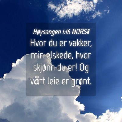 Picture 04 - Høysangen 1:16 NORSK - Hvor du er vakker, min elskede, hvor skjønn du - Bible Verse Picture