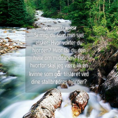 Picture 04 - Høysangen 1:7 NORSK - Si mig, du som min sjel elsker: Hvor vokter du - Bible Verse Picture