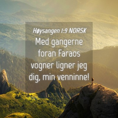 Picture 04 - Høysangen 1:9 NORSK - Med gangerne foran Faraos vogner ligner jeg dig, - Bible Verse Picture