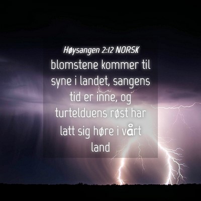 Picture 04 - Høysangen 2:12 NORSK - blomstene kommer til syne i landet, sangens tid - Bible Verse Picture
