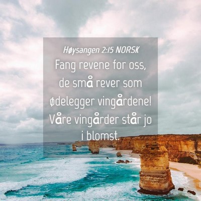 Picture 04 - Høysangen 2:15 NORSK - Fang revene for oss, de små rever som ødelegger - Bible Verse Picture