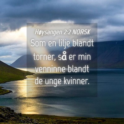 Picture 04 - Høysangen 2:2 NORSK - Som en lilje blandt torner, så er min venninne - Bible Verse Picture