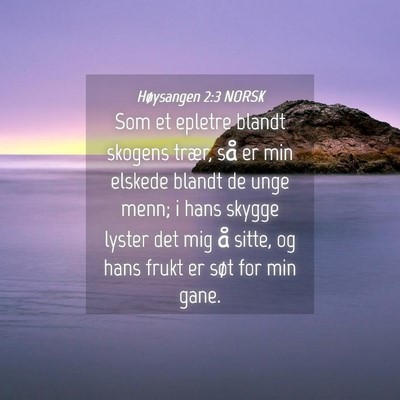 Picture 04 - Høysangen 2:3 NORSK - Som et epletre blandt skogens trær, så er min - Bible Verse Picture