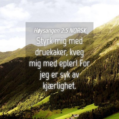 Picture 04 - Høysangen 2:5 NORSK - Styrk mig med druekaker, kveg mig med epler! For - Bible Verse Picture