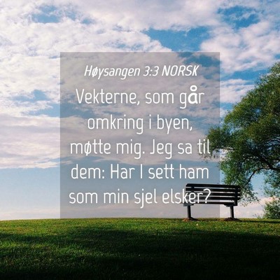Picture 04 - Høysangen 3:3 NORSK - Vekterne, som går omkring i byen, møtte mig. - Bible Verse Picture
