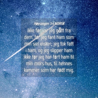 Picture 04 - Høysangen 3:4 NORSK - Ikke før var jeg gått fra dem, før jeg fant - Bible Verse Picture