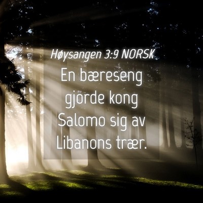 Picture 04 - Høysangen 3:9 NORSK - En bæreseng gjorde kong Salomo sig av Libanons - Bible Verse Picture