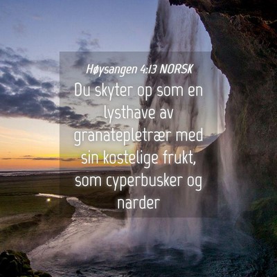 Picture 04 - Høysangen 4:13 NORSK - Du skyter op som en lysthave av granatepletrær - Bible Verse Picture