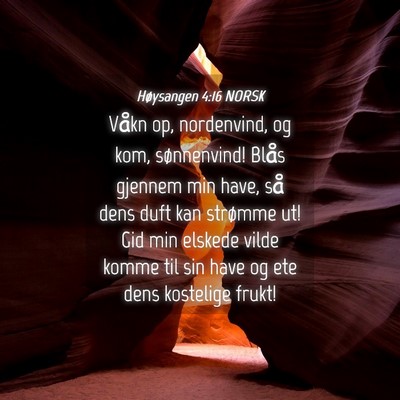 Picture 04 - Høysangen 4:16 NORSK - Våkn op, nordenvind, og kom, sønnenvind! Blås - Bible Verse Picture