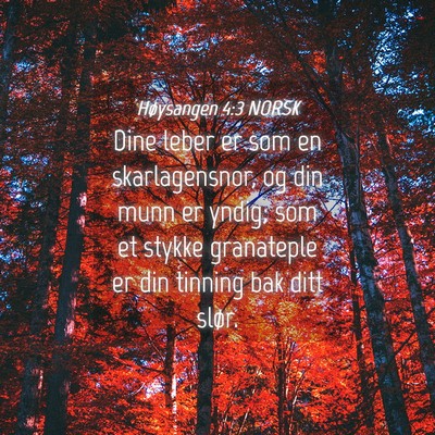 Picture 04 - Høysangen 4:3 NORSK - Dine leber er som en skarlagensnor, og din munn - Bible Verse Picture