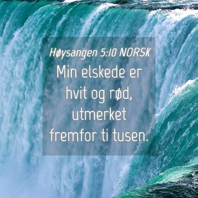 Picture 04 - Høysangen 5:10 NORSK - Min elskede er hvit og rød, utmerket fremfor ti - Bible Verse Picture