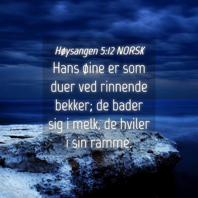 Picture 04 - Høysangen 5:12 NORSK - Hans øine er som duer ved rinnende bekker; de - Bible Verse Picture