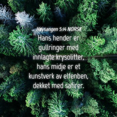 Picture 04 - Høysangen 5:14 NORSK - Hans hender er gullringer med innlagte - Bible Verse Picture