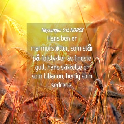 Picture 04 - Høysangen 5:15 NORSK - Hans ben er marmorstøtter, som står på - Bible Verse Picture