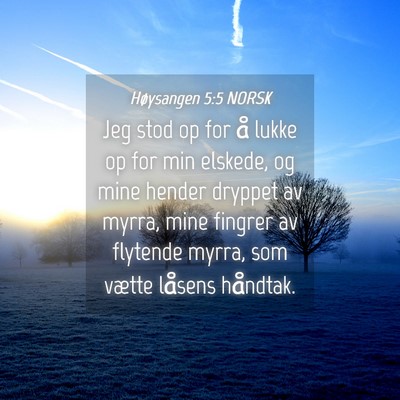 Picture 04 - Høysangen 5:5 NORSK - Jeg stod op for å lukke op for min elskede, og - Bible Verse Picture