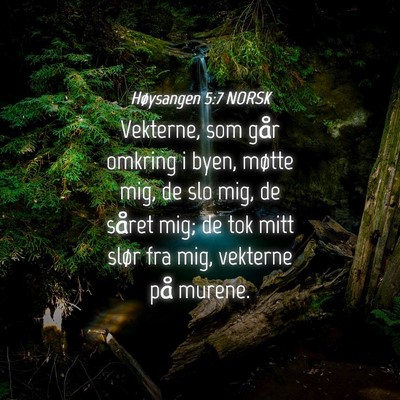 Picture 04 - Høysangen 5:7 NORSK - Vekterne, som går omkring i byen, møtte mig, de - Bible Verse Picture