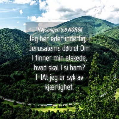 Picture 04 - Høysangen 5:8 NORSK - Jeg ber eder inderlig, I Jerusalems døtre! Om I - Bible Verse Picture