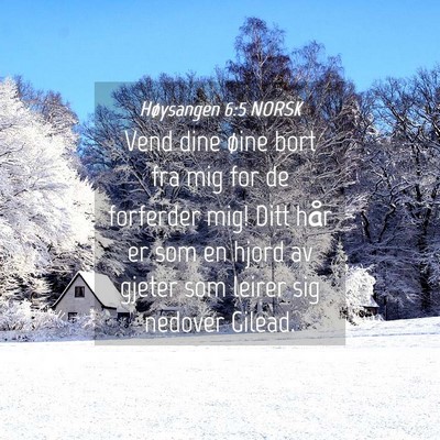 Picture 04 - Høysangen 6:5 NORSK - Vend dine øine bort fra mig for de forferder - Bible Verse Picture