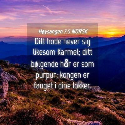 Picture 04 - Høysangen 7:5 NORSK - Ditt hode hever sig likesom Karmel; ditt - Bible Verse Picture