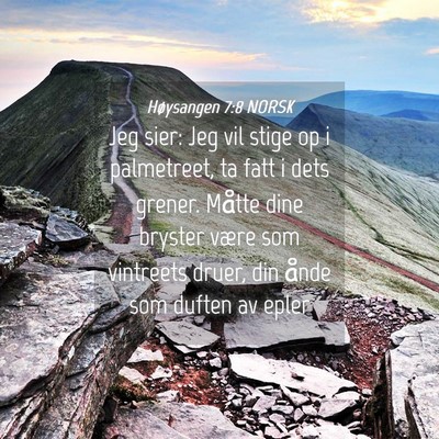 Picture 04 - Høysangen 7:8 NORSK - Jeg sier: Jeg vil stige op i palmetreet, ta fatt - Bible Verse Picture