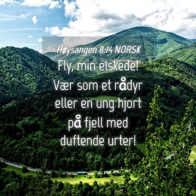 Picture 04 - Høysangen 8:14 NORSK - Fly, min elskede! Vær som et rådyr eller en ung - Bible Verse Picture