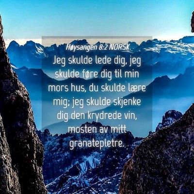 Picture 04 - Høysangen 8:2 NORSK - Jeg skulde lede dig, jeg skulde føre dig til min - Bible Verse Picture