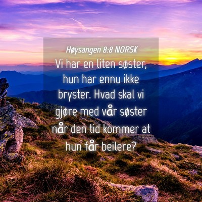 Picture 04 - Høysangen 8:8 NORSK - Vi har en liten søster, hun har ennu ikke - Bible Verse Picture