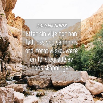 Picture 04 - Jakob 1:18 NORSK - Efter sin vilje har han født oss ved sannhets - Bible Verse Picture