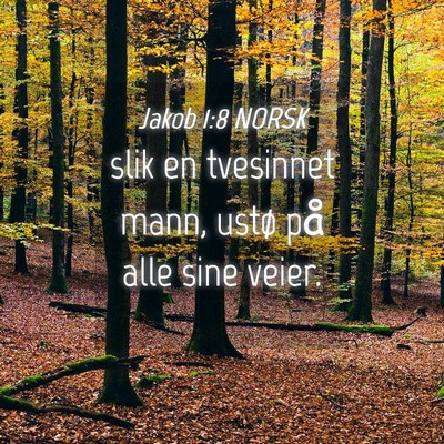 Picture 04 - Jakob 1:8 NORSK - slik en tvesinnet mann, ustø på alle sine - Bible Verse Picture