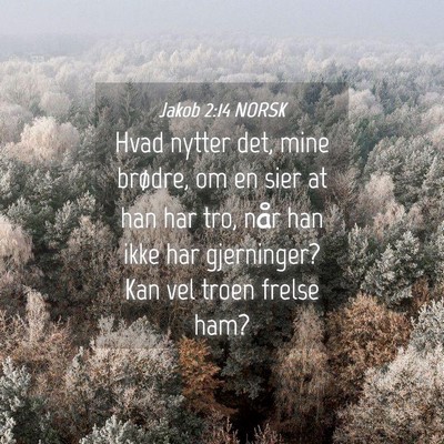 Picture 04 - Jakob 2:14 NORSK - Hvad nytter det, mine brødre, om en sier at han - Bible Verse Picture