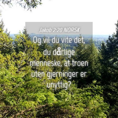 Picture 04 - Jakob 2:20 NORSK - Og vil du vite det, du dårlige menneske, at - Bible Verse Picture