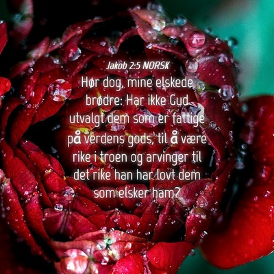 Picture 04 - Jakob 2:5 NORSK - Hør dog, mine elskede brødre: Har ikke Gud - Bible Verse Picture
